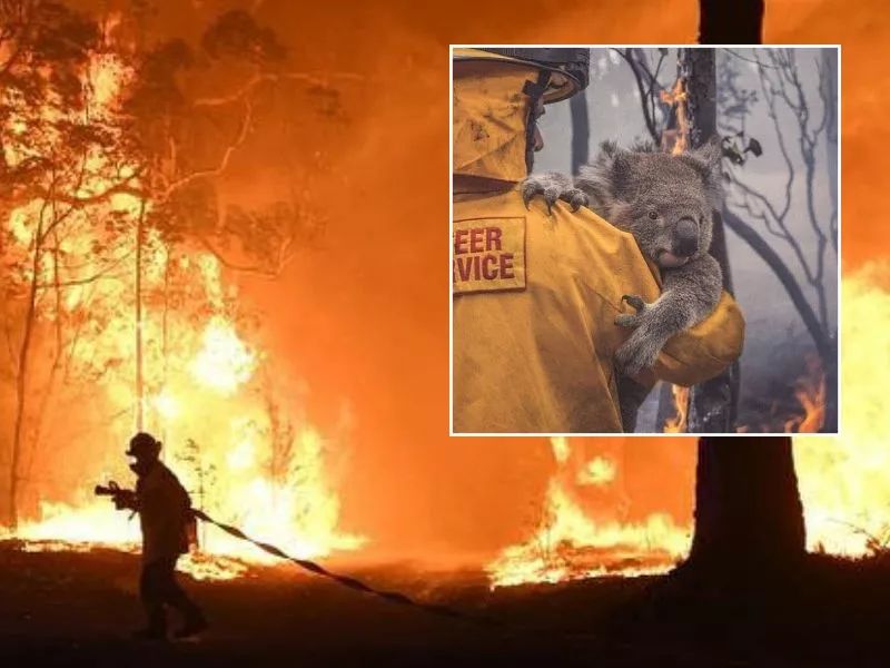 浓眉哥赛事官方发布逆转新规，澳大利亚队争议不断！